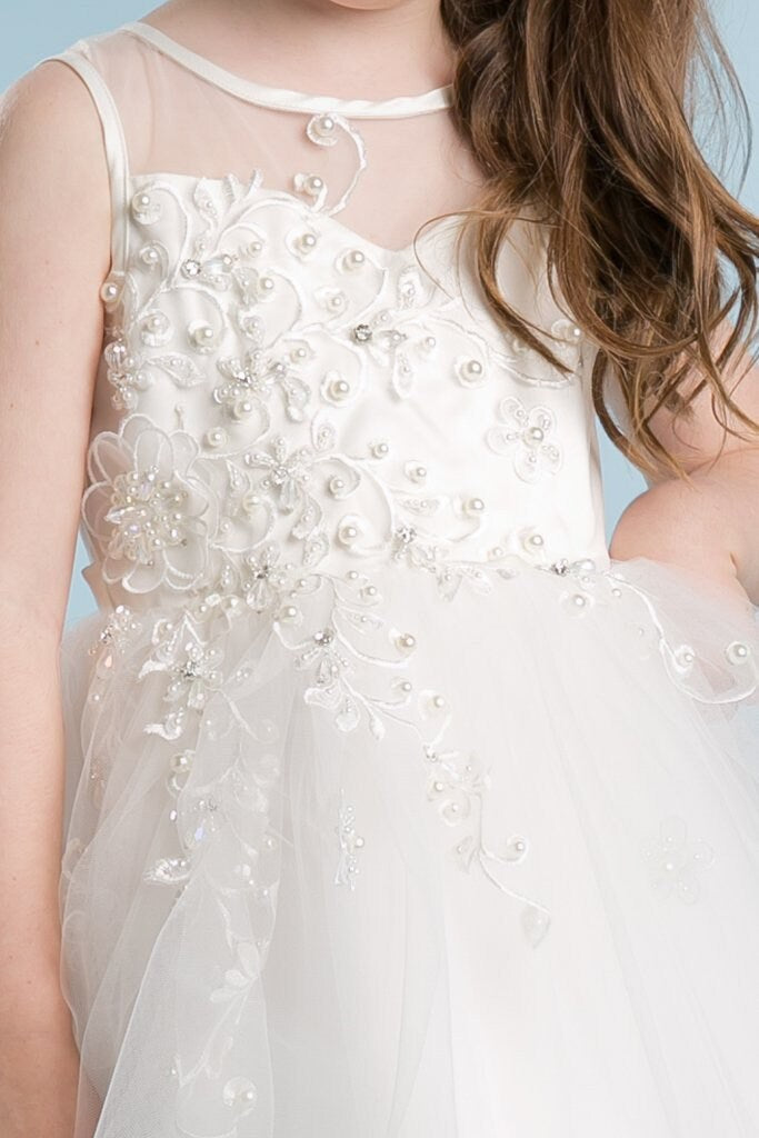 Emma's Magical Dream, bodice of dress in ivory color with embroidered floral design and illusion tulle neckline
