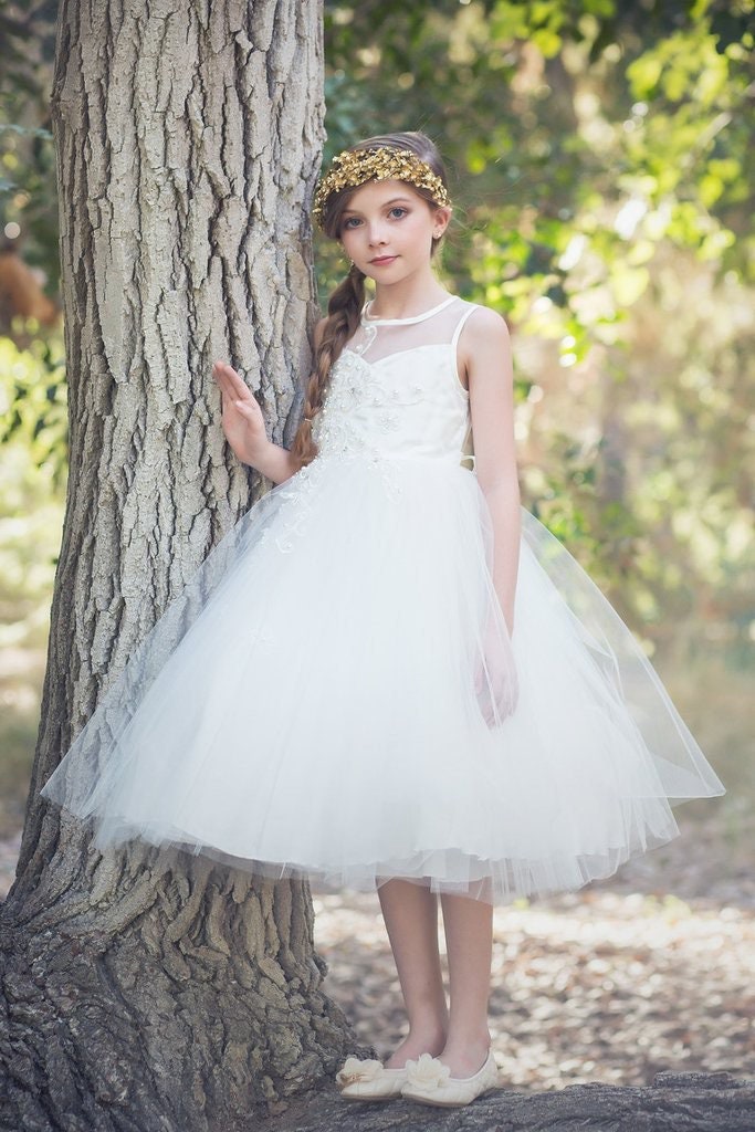 Emma's Magical Dream, tea length dress with gold headband, and tulle skirt with netting underneath