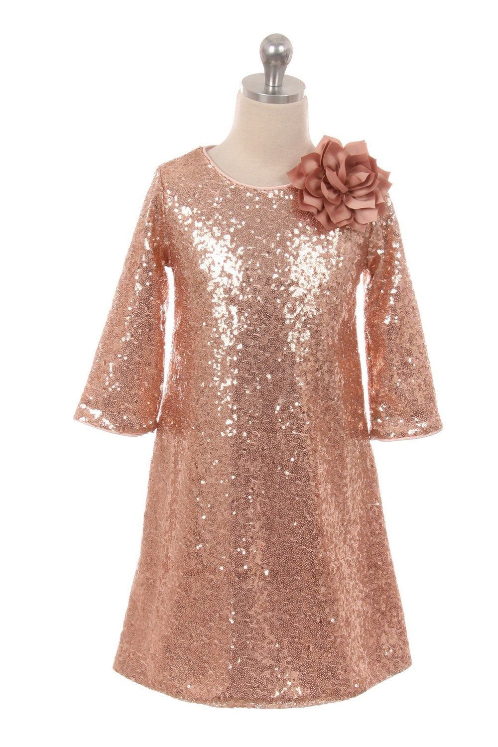 Sequin Sleeve Dress
