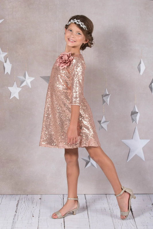 Lola Sleeve Sequin Dress