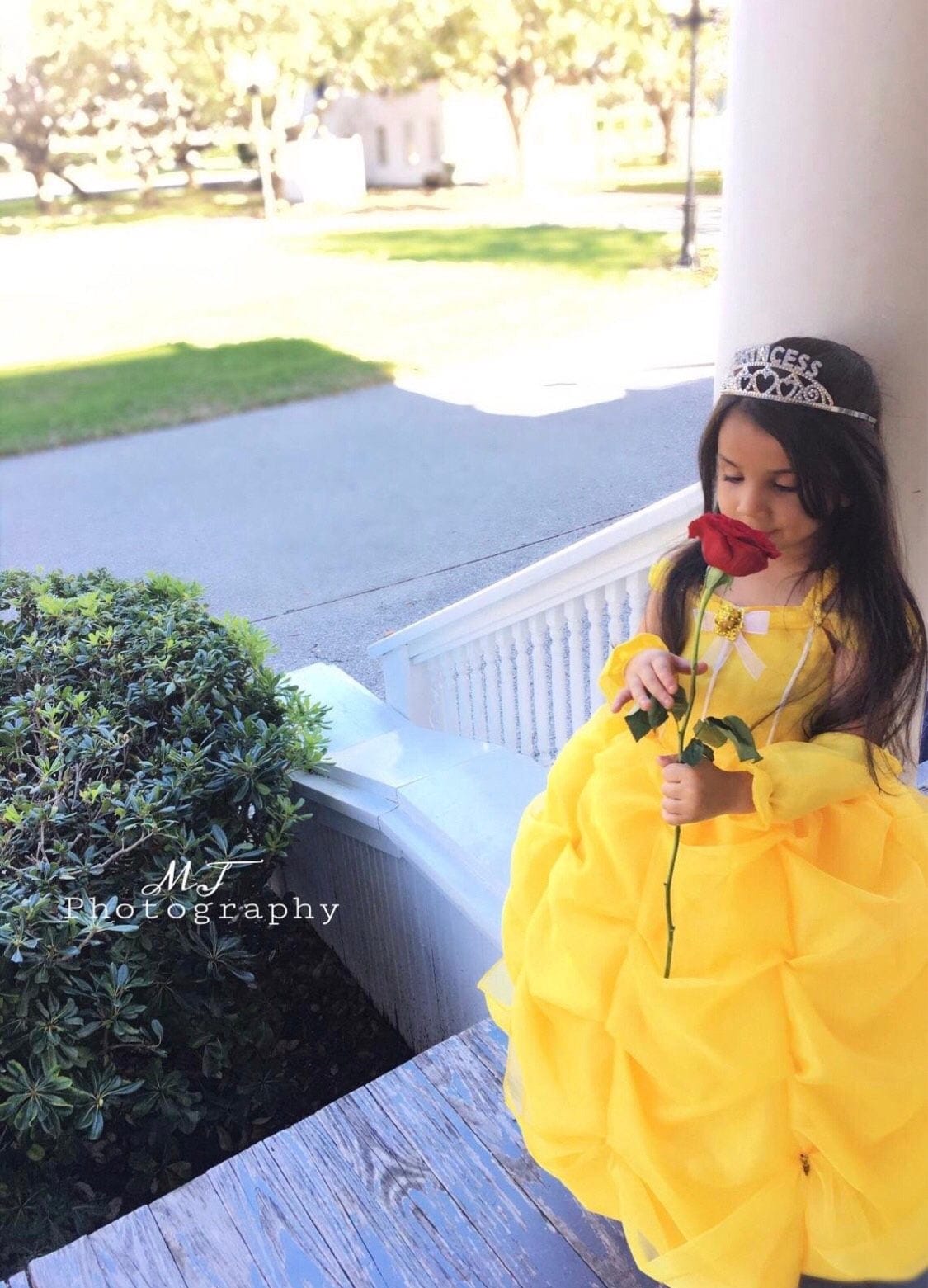 Ruffled Yellow Princess Gown  Sophia Bognem