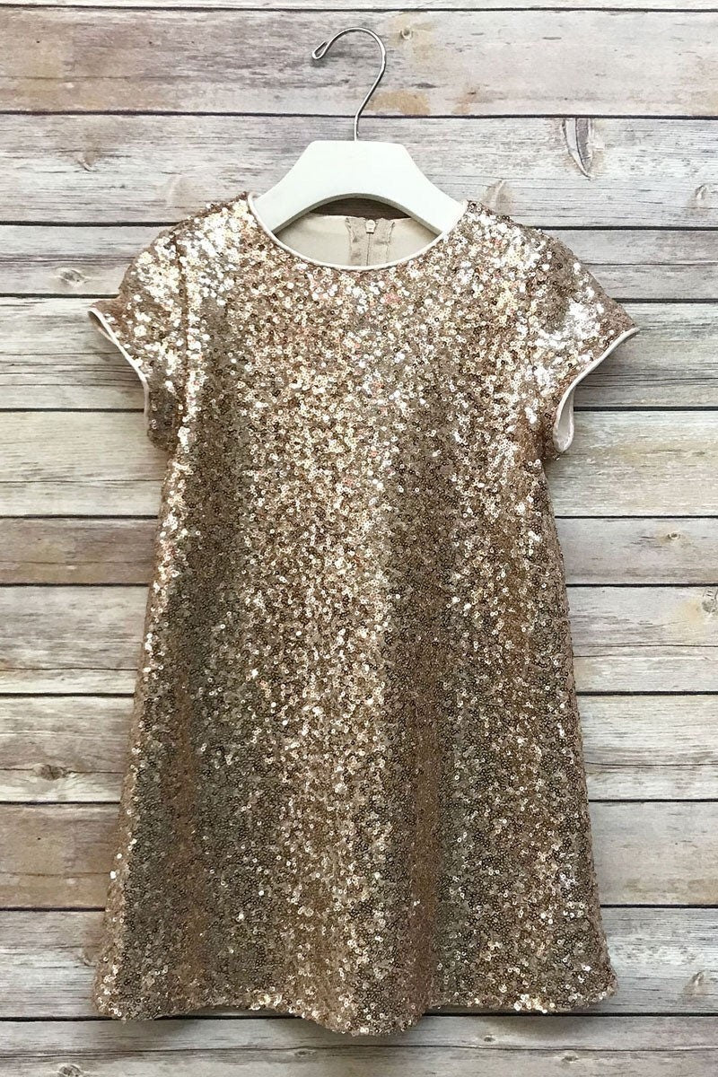 Emma's Magical Dream shift dress, sequin shift dress, blush color with cap sleeves and knee length