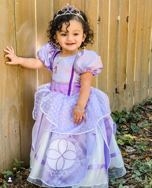 Emma's Magical Dream, princess dress, tulle skirt with cap sleeves, purple dress with tulle overlay.