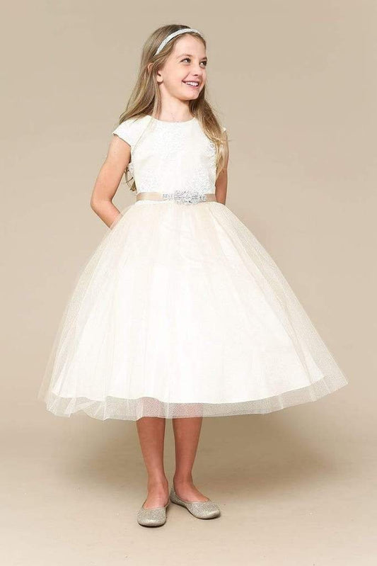 Emma's Magical Dream, dream dress, tulle skirt with embroidered top and belt