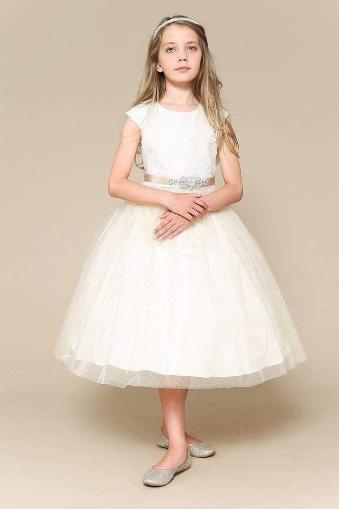 Emma's Magical Dream, dream dress, champagne color, tea length, glitter tulle, and appliqué