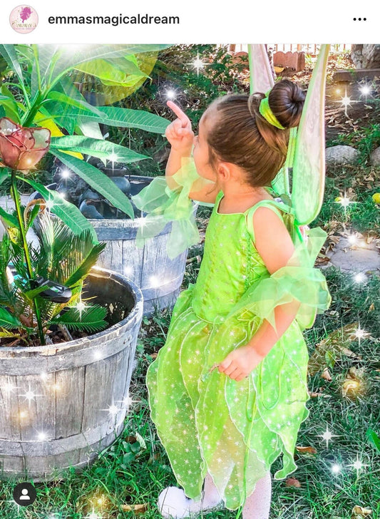 Emma's Magical Dream, green fairy dress with green glitter tulle, removable skirt, and green bodice