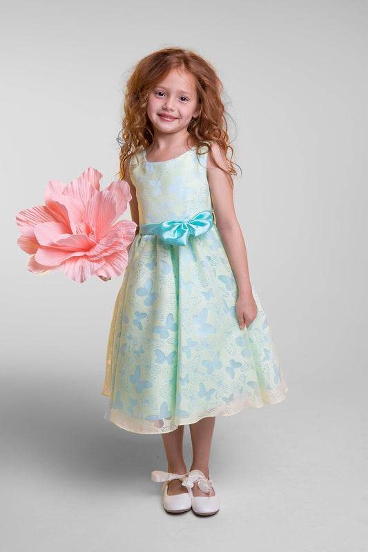 Butterfly organza dress