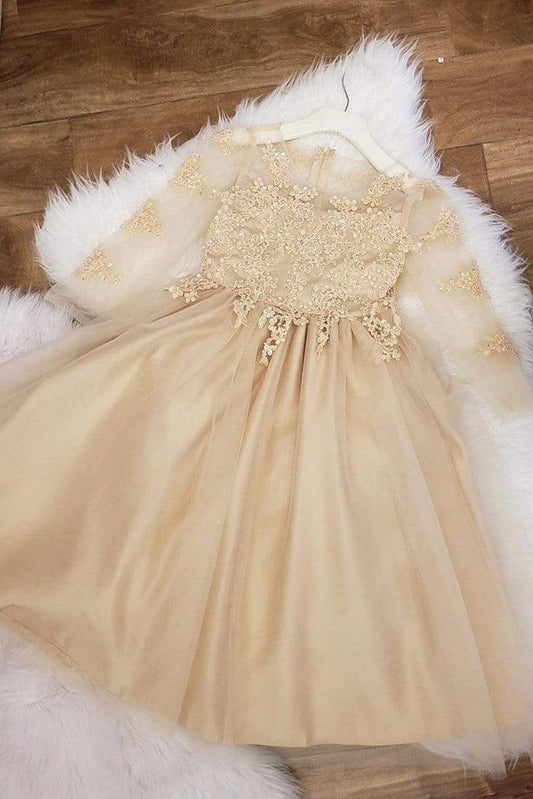 champagne color embroidered dress with long sleeves