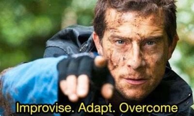 Improvise Adapt Overcome: Nature on Survival and Resilience