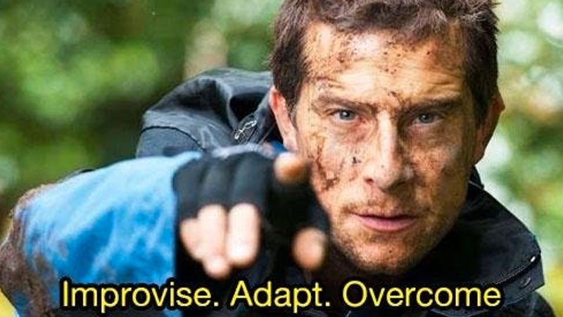 Improvise Adapt Overcome: Nature on Survival and Resilience