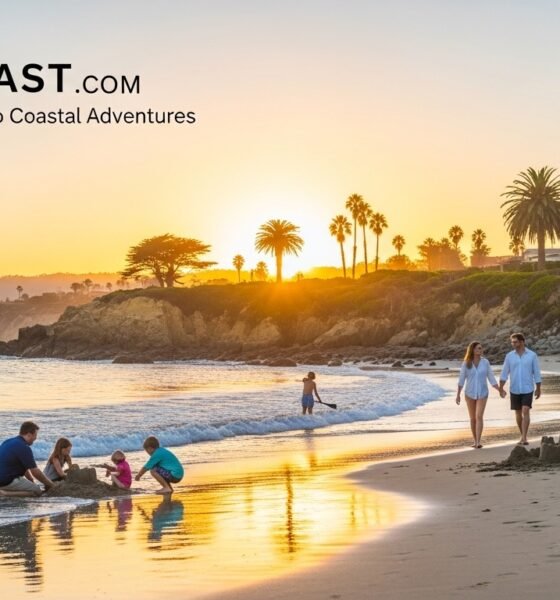Primacoast.com: Your Ultimate Guide to Coastal Adventures