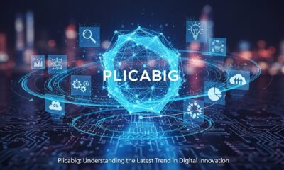 What is Plicabig? Understanding the Latest Trend in Digital Innovation