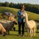 Hitsujikai Arupaka: A Sustainable Sheep Farming Practices